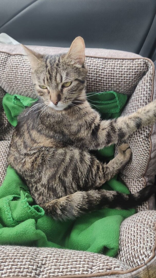 Брункс подрос