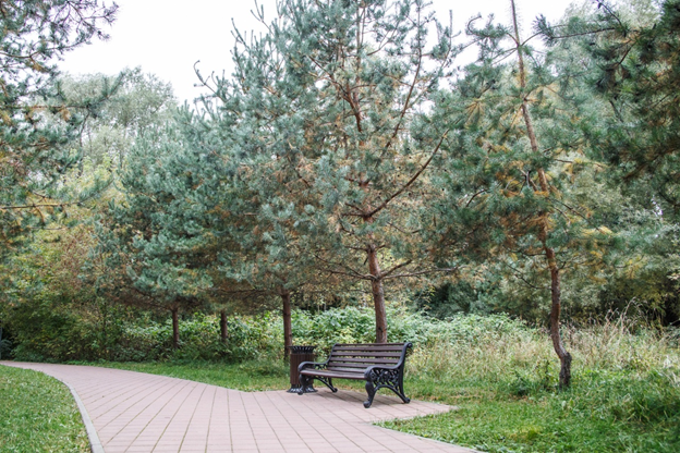 Фото: Мосприрода.  Парк «Ветеран»