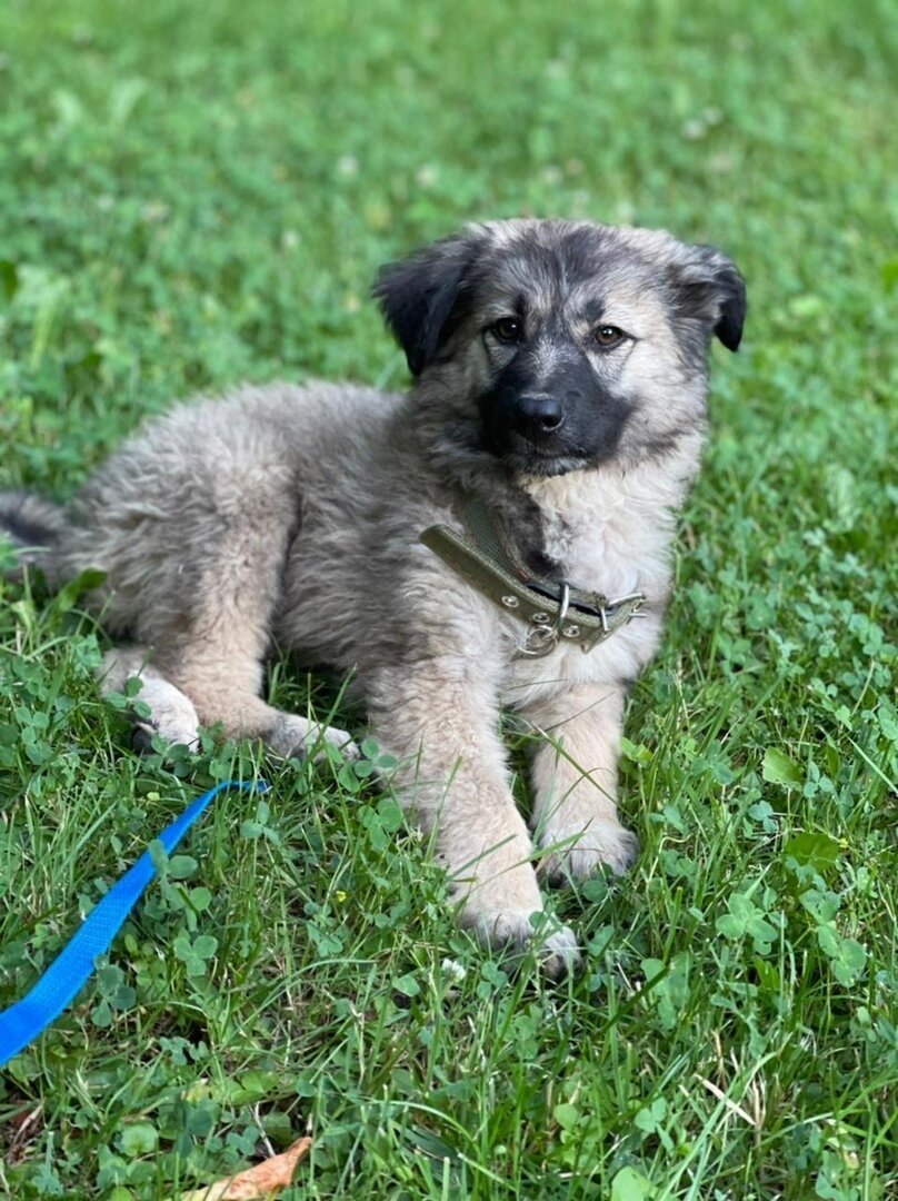 Можно листать