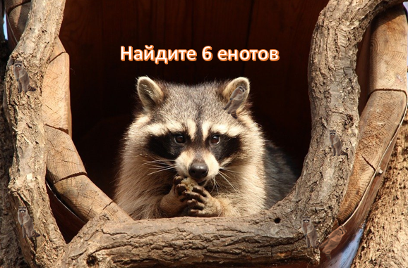 Картинка для обложки (оригинальный вариант картинки — pixabay)