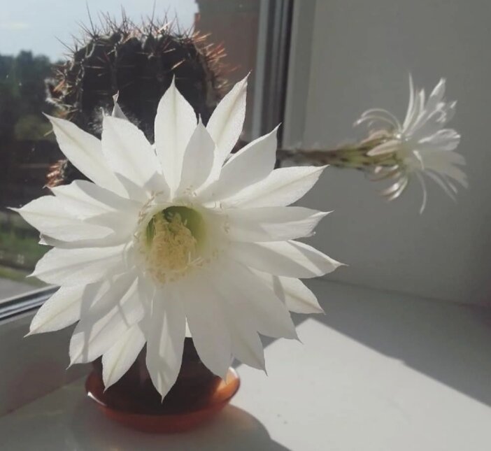 Фото из открытых источников 