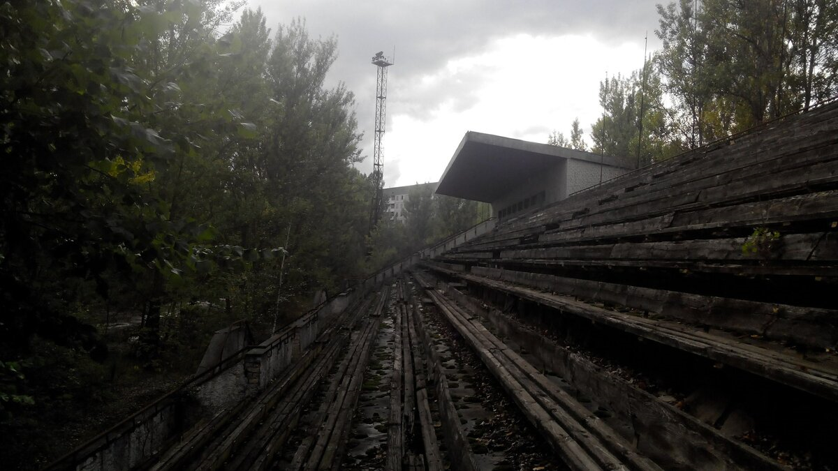 Автор фото -  Софья Павловская. Фото взято из открытого ресурса "Яндекс. Картинки".