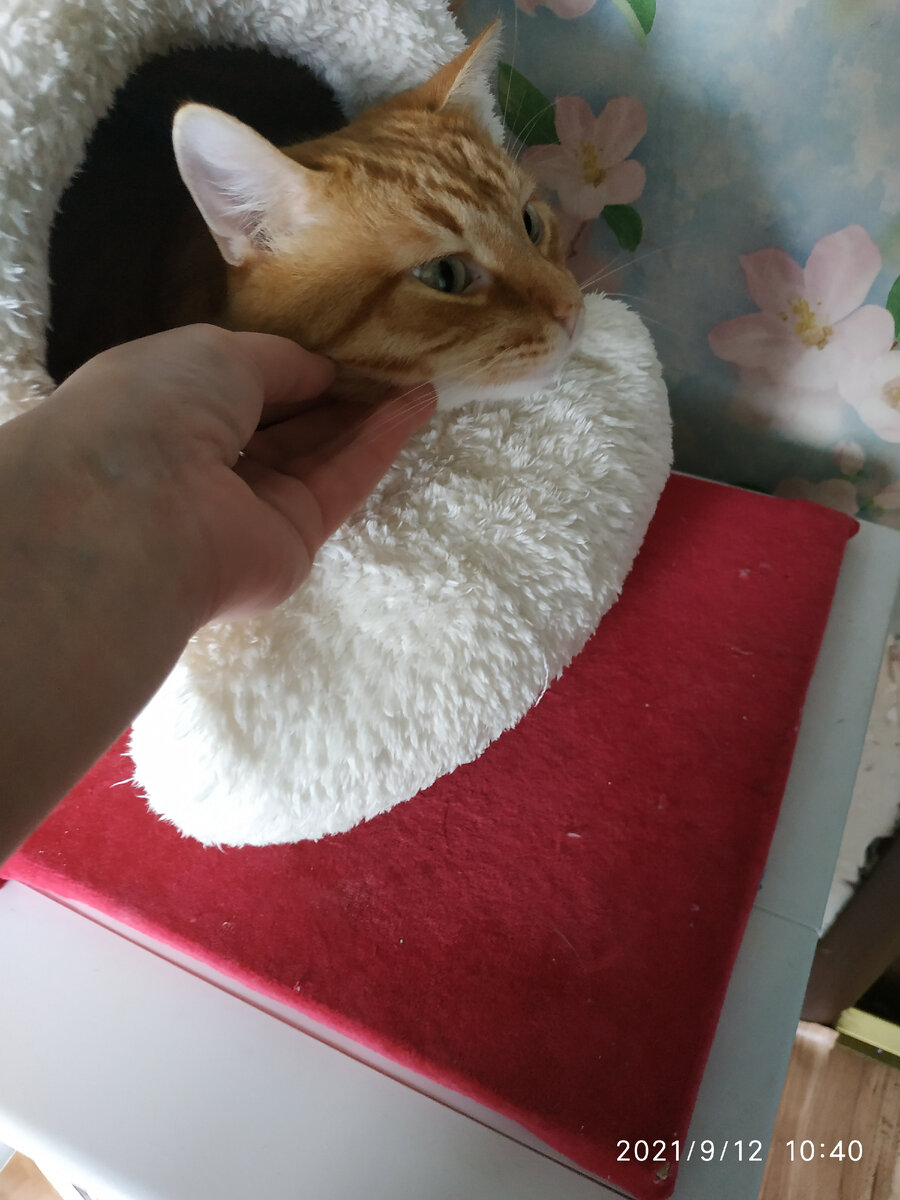 Не ругаем, а исправляем ситуацию. Хвалим за малейший успех хулигана