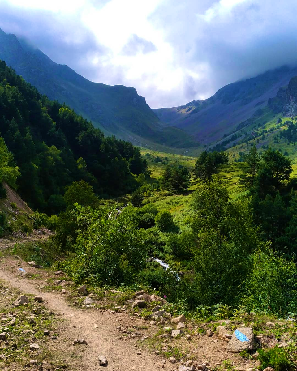 Предсказания будущего. Магия Воздуха. Левый столб Древа Сефирот 🧘‍♀️🌬️💨