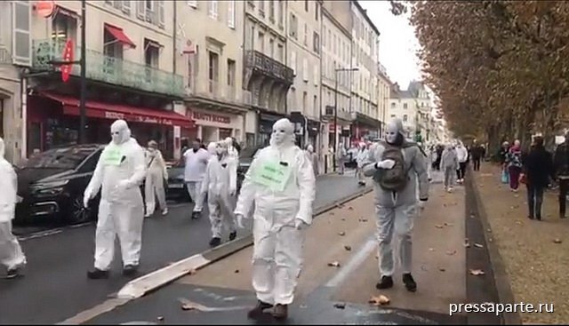 Фото: скрин ролика France Bleu Périgord в Twitter