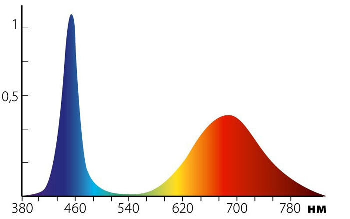 Спектр для подсветки растений 