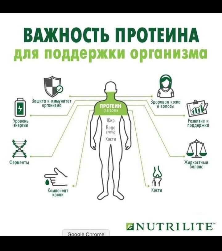 Помощь организму. Протеин Амвей. Протеин Нутрилайт. Поддержка организма. Нутрилайт белок Амвей.