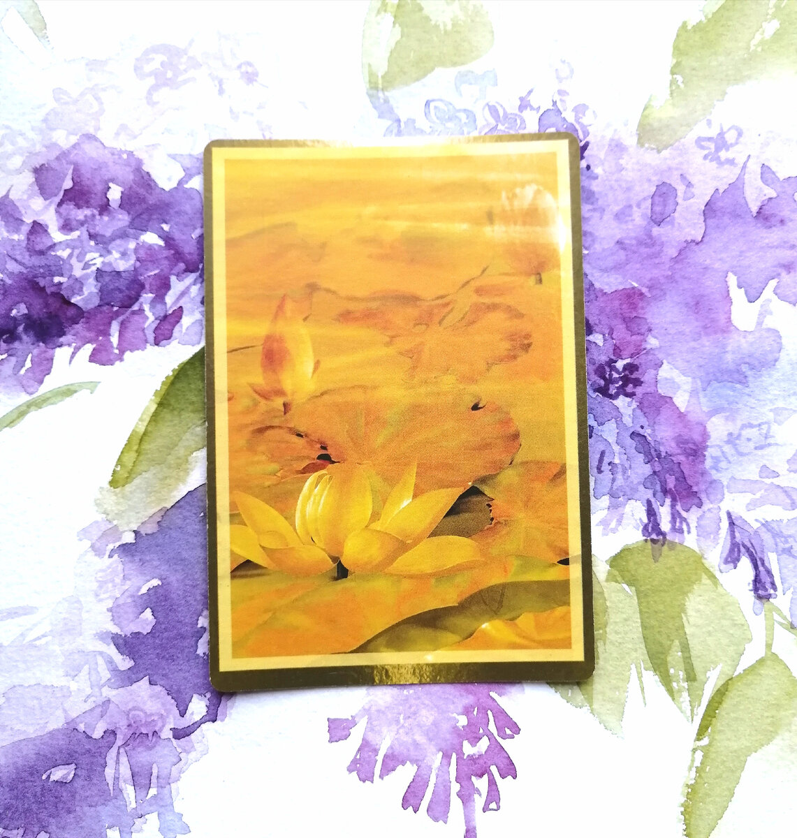 Личное фото автора.