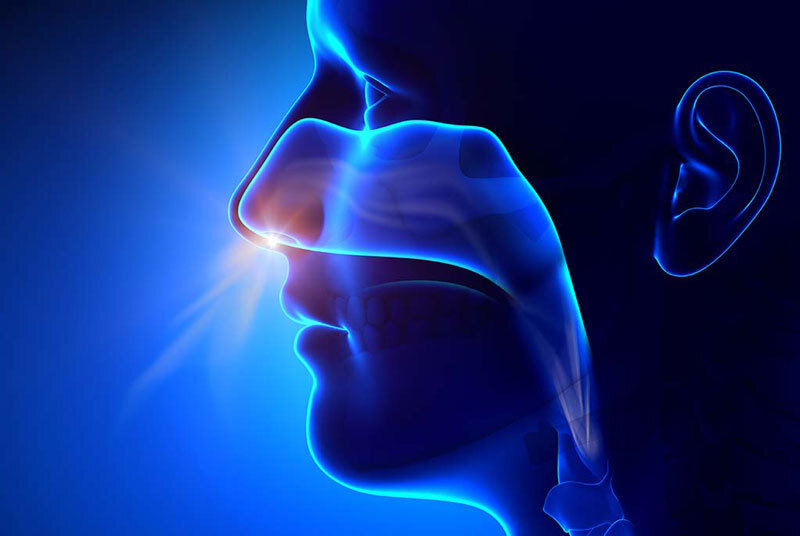 Через вдох и принимаю пищу мы наполняемся Праной.