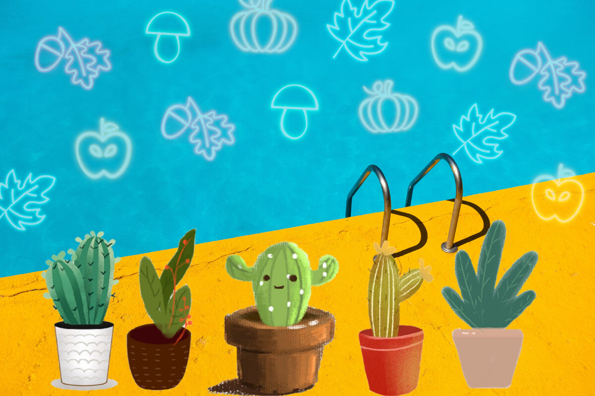 Коллаж автора