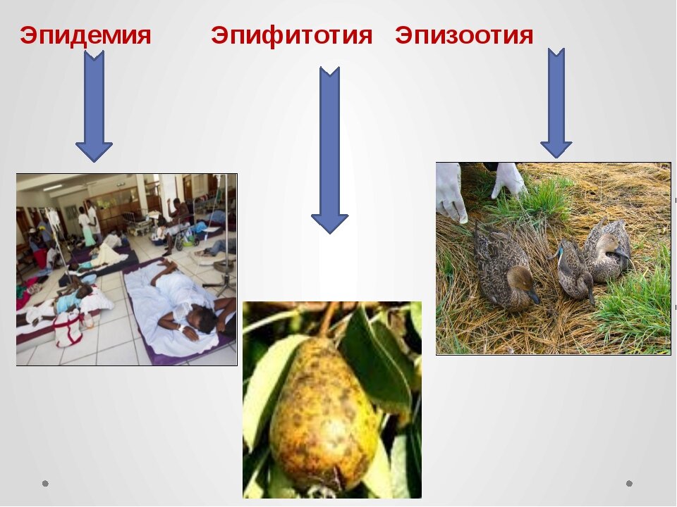 Обзор антропогенных рисков на территории Красноярского края