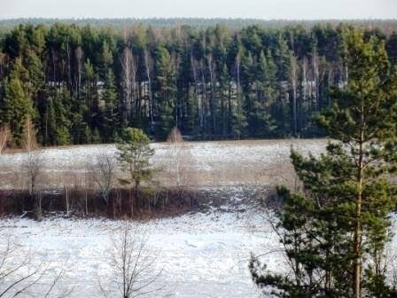 Вид на зимний лес и речку