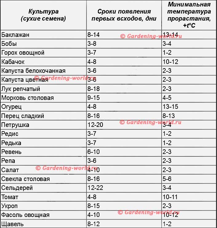 Таблица dacha. Сроки прорастания семян таблица овощей. Сроки всхожести семян таблица. Сроки прорастания семян. Сроки проращивания семян таблица.