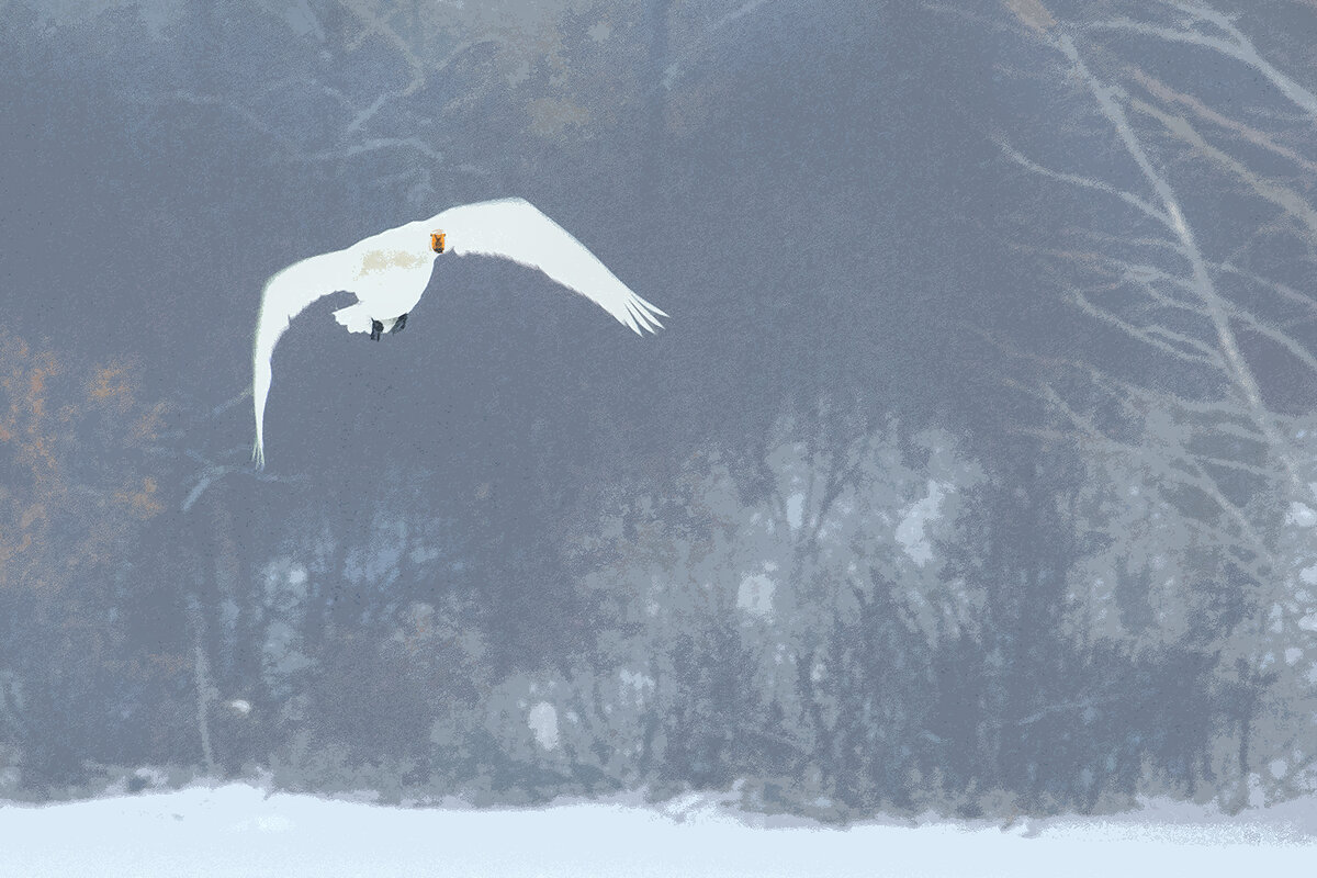Мысли, прилетающие в нашу голову наедине, первое время могут пугать!