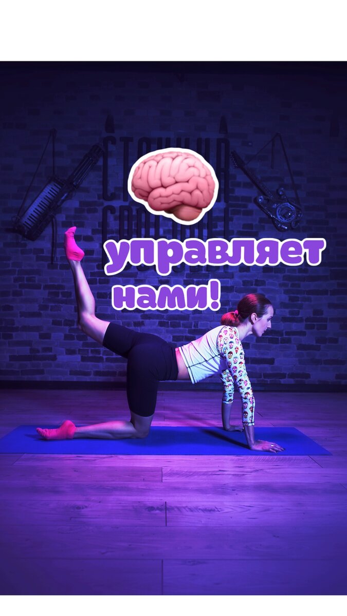 НАМИ УПРАВЛЯЕТ НАШ МОЗГ 🧠 ⠀ | ФитоМаша | Дзен