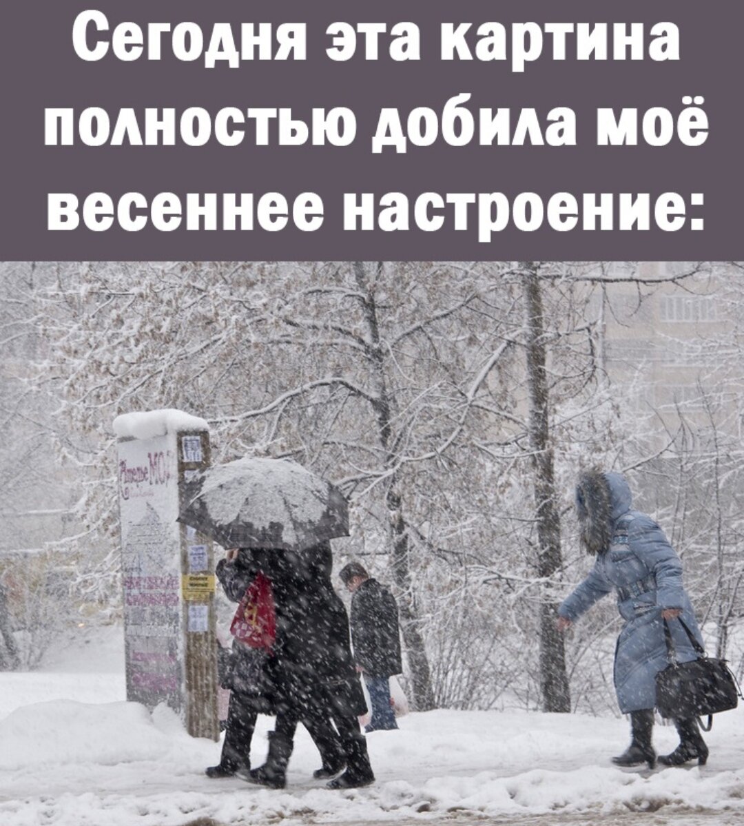 Картинка из интернета