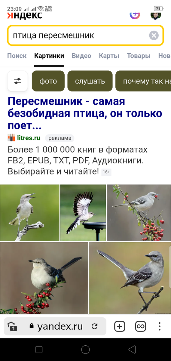 Яндекс картинки меня выручают на уроках, когда проще ребенку один раз показать, чем долго объяснять.