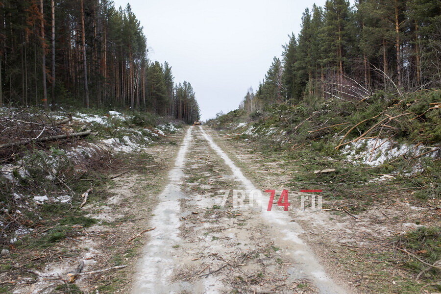 На поворотах обочины дополнительно расширят
