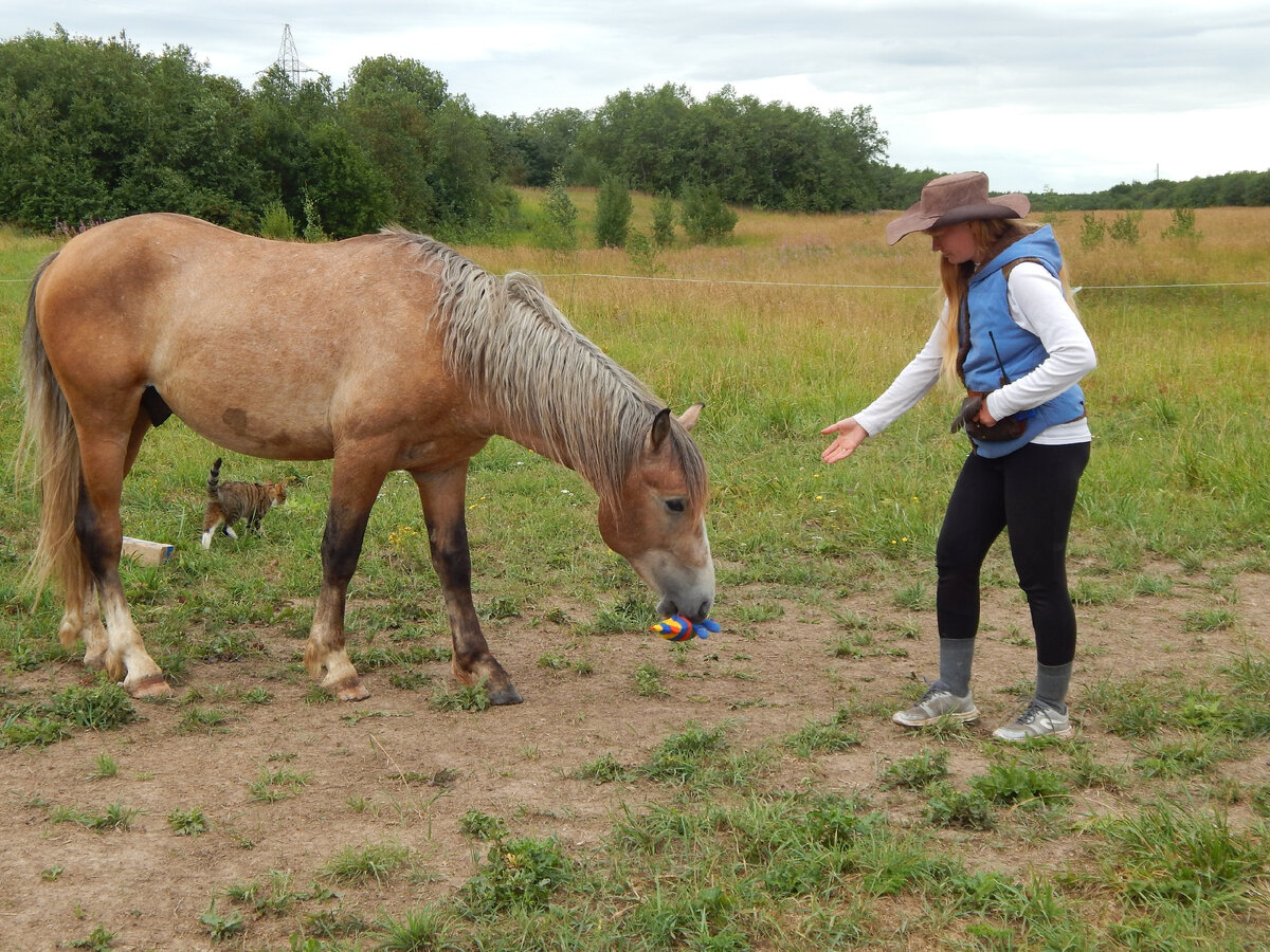 Пунш, Лолита и рыбка