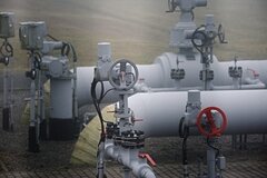 Фото: Алексей Витвицкий / РИА Новости