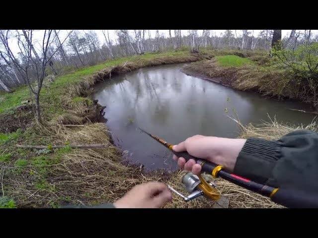 Фото из открытых источников "Яндекс картинки"