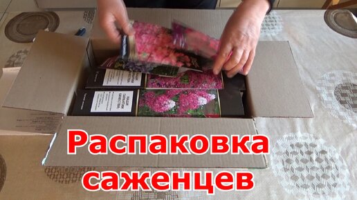 Распаковка посылки с саженцами для весны из интернет-магазина. Дельфиниум, гортензии и флоксы.