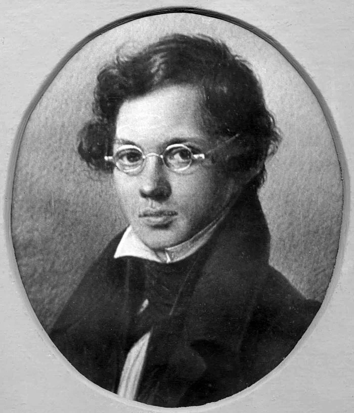 Антонович дельвиг. Дельвиг друг пушкина. Дельвиг друг пушкина. Антонович дельвиг. Портрет дельвига друга пушкина.