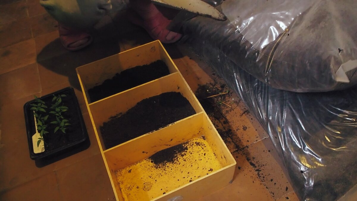 Готовим грунт в большом ящике