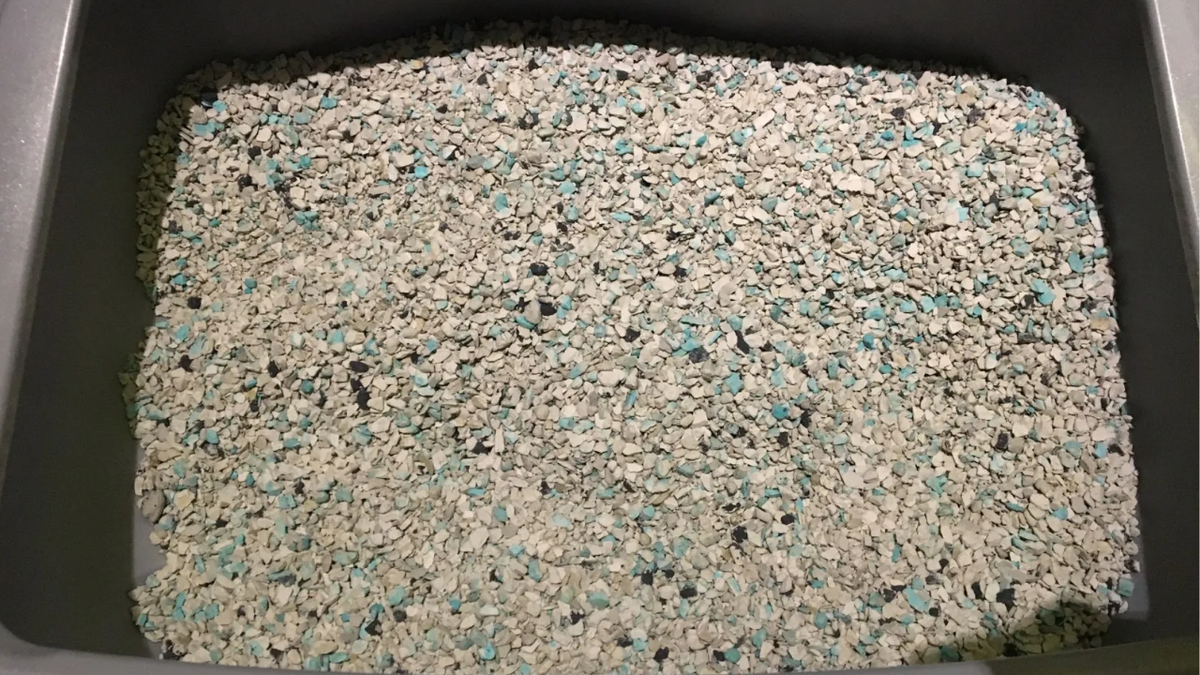 Источник: yandex