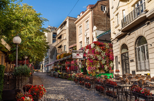 Фото: e2dan / Shutterstock.com