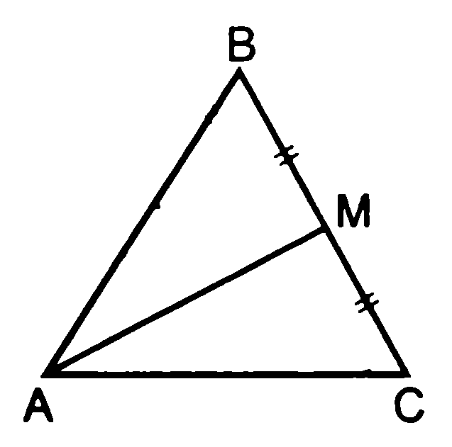 Отрезок делящий треугольник пополам. Медиана треугольника чертеж. Медиана острого треугольника чертеж. Медиана треугольника на а4. Медиана треугольника рисунок.