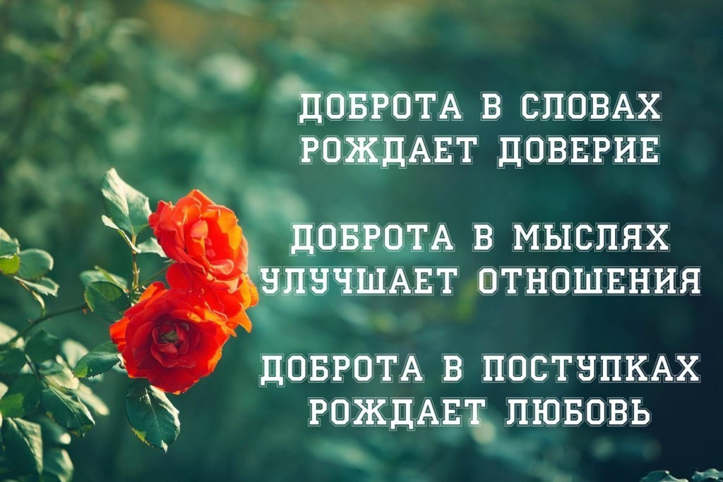 Доброта и порядочность. Красивые добрые высказывания. Красивые добрые цитаты. Цитаты про добро. Красивые цитаты о добре
