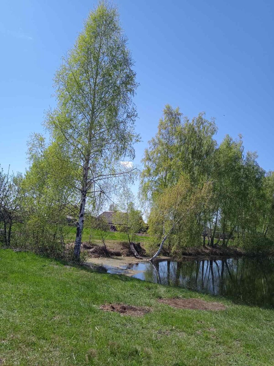 Весенняя природа.