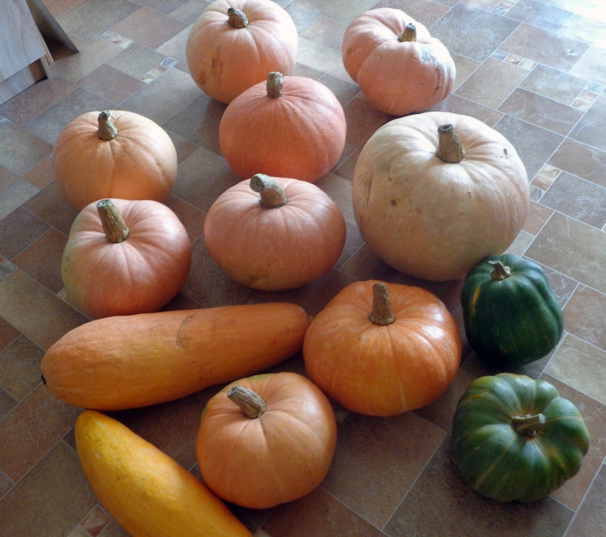 Как-то мне подарили 13 тыкв))