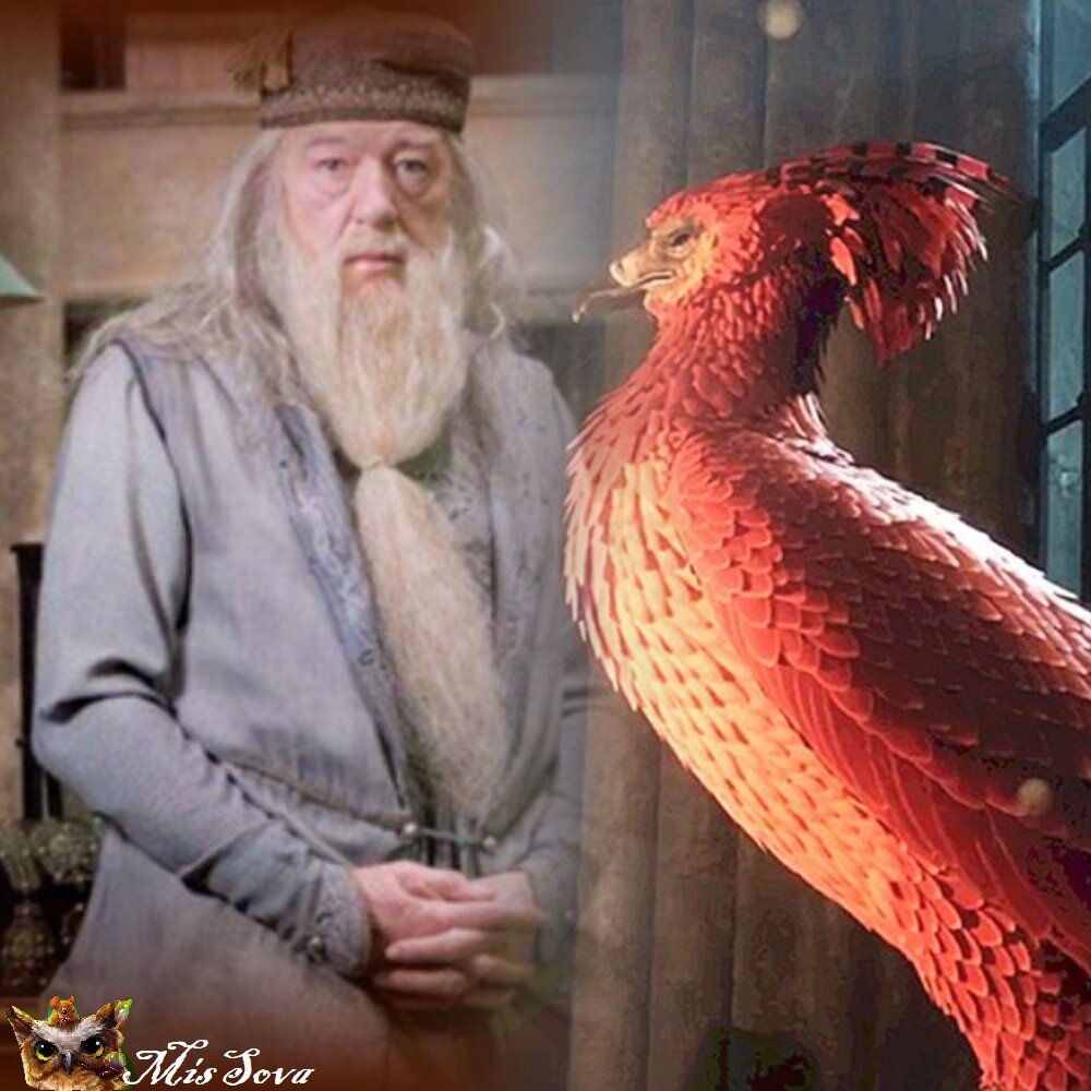 Альбус Дамблдор и его феникс. Коллаж автора