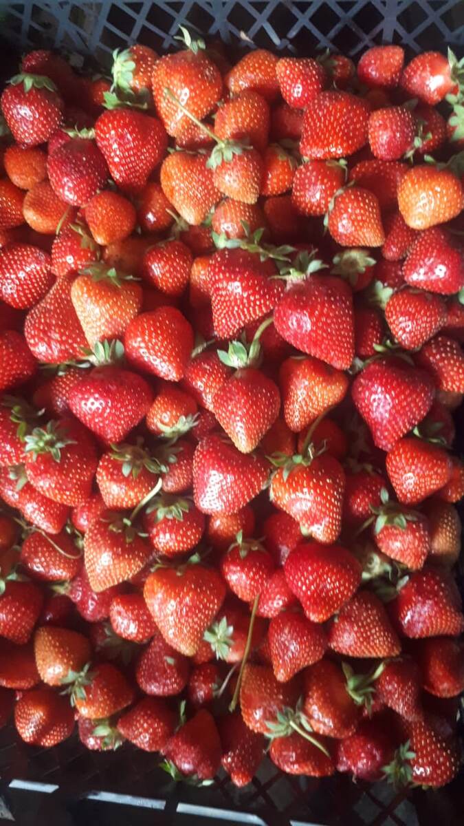 Основные
клубника1 кг
сахар300 г
