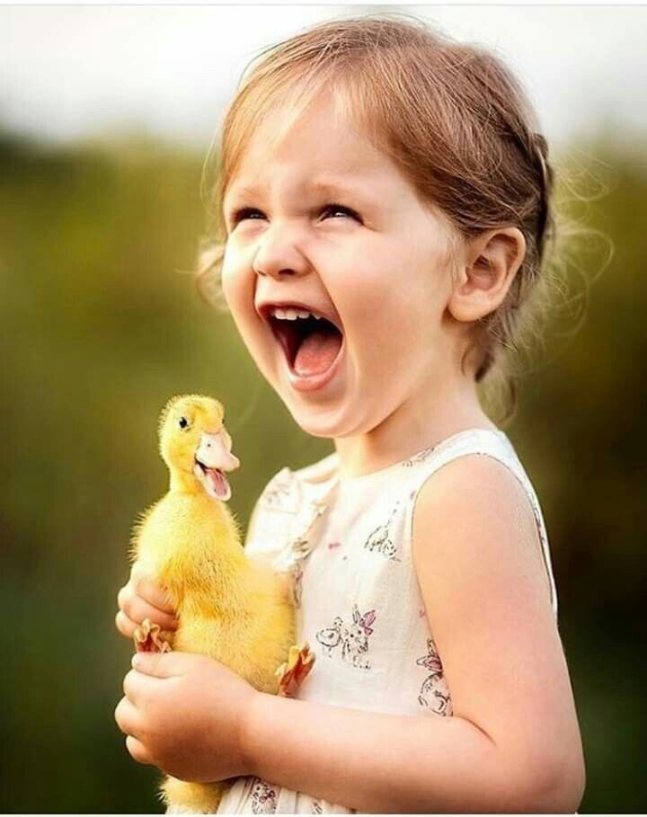 Фото взято из интернета 