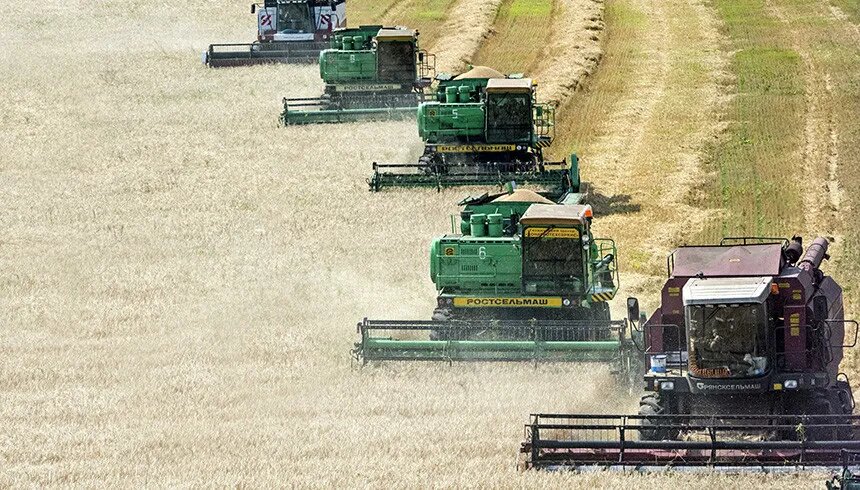 Фото: Serguei Fomine / Global Look Press