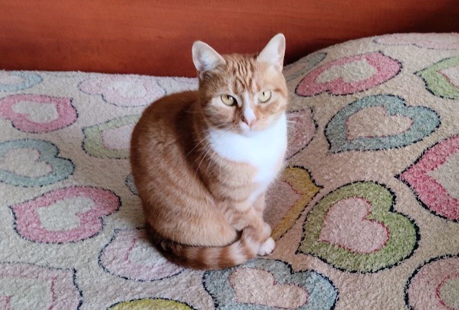 Точно готовы?