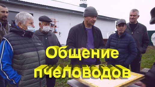 Общение пчеловодов на пасеке у Александра в Нижнеингале