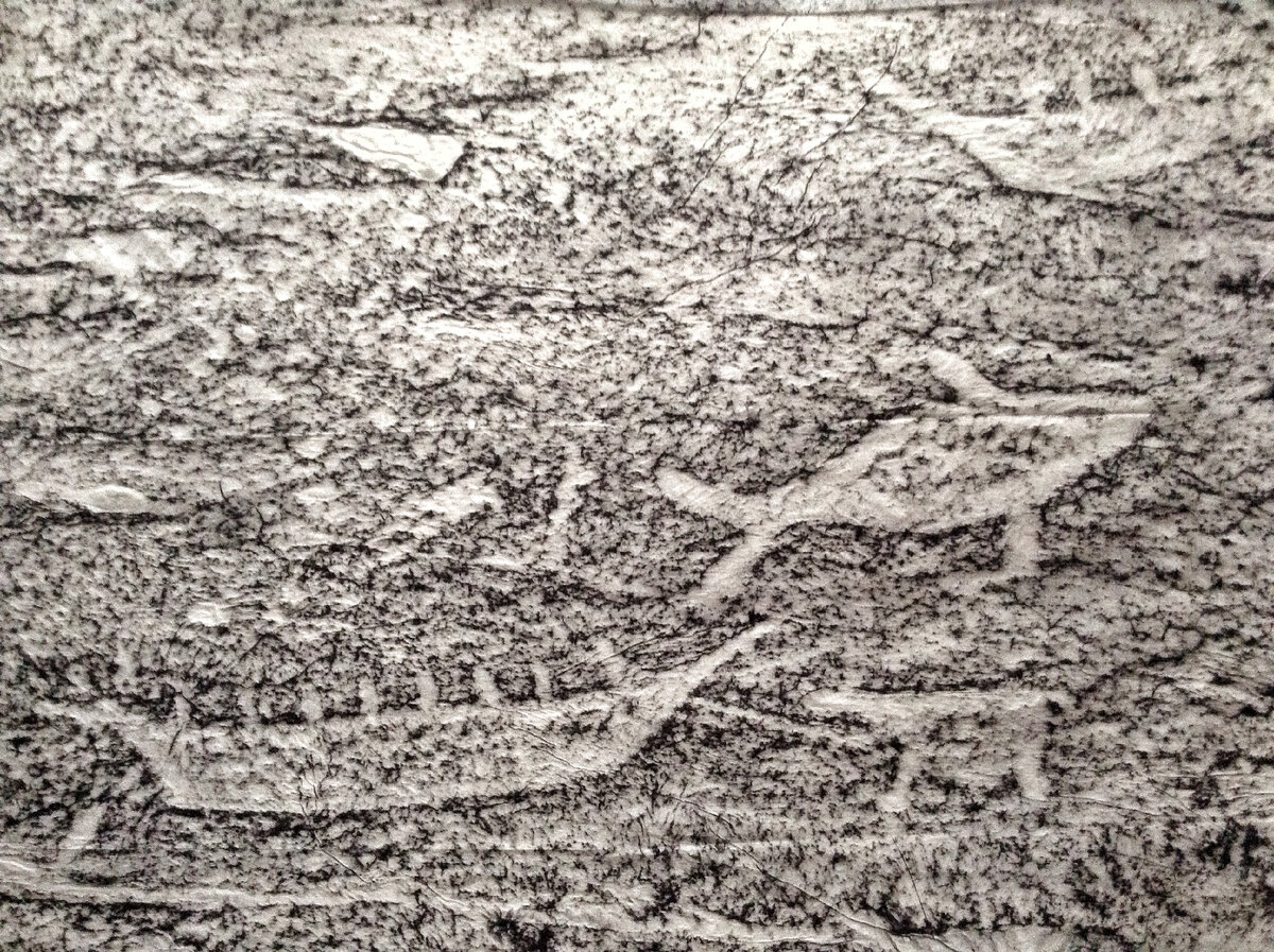 🙏 За фото спасибо Анастасии! 