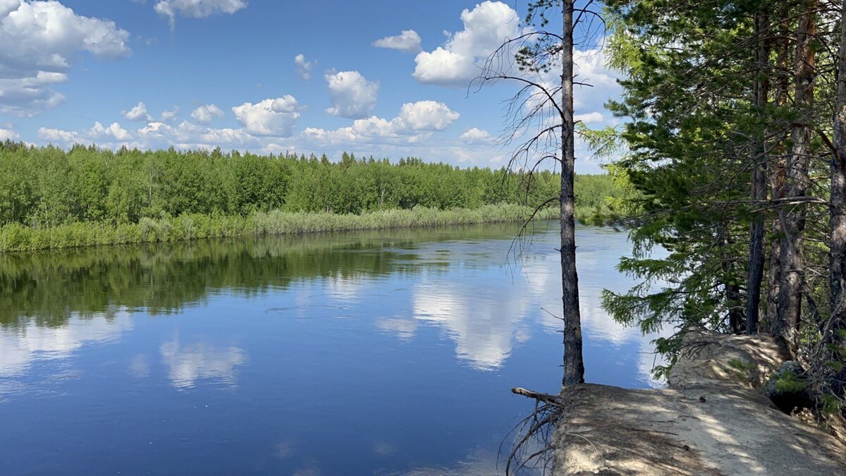Река Конда. Здесь неподалеку находится Кондинский заповедник.
