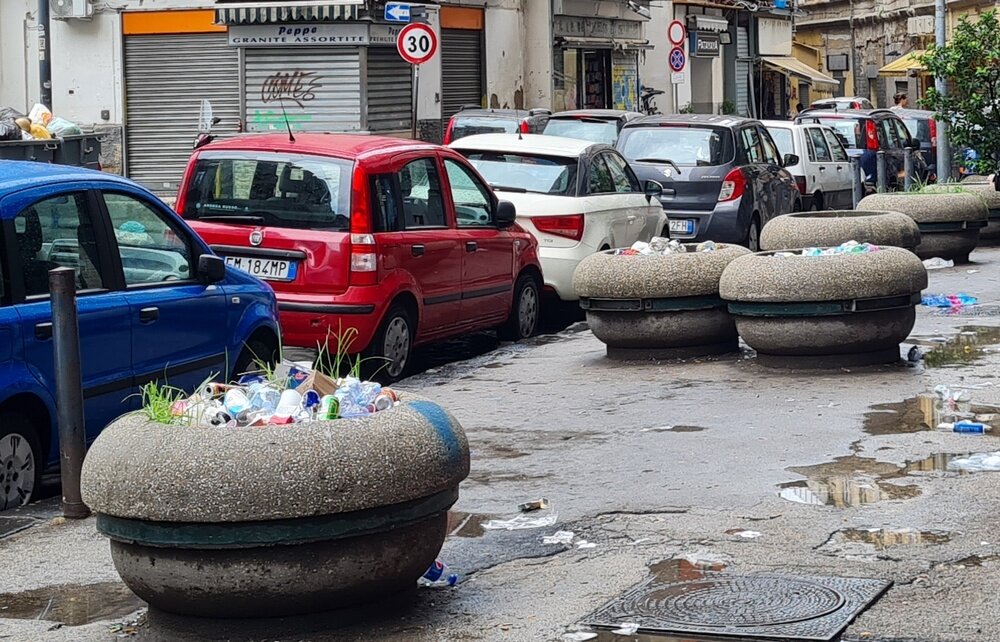 это когда-то были клумбы