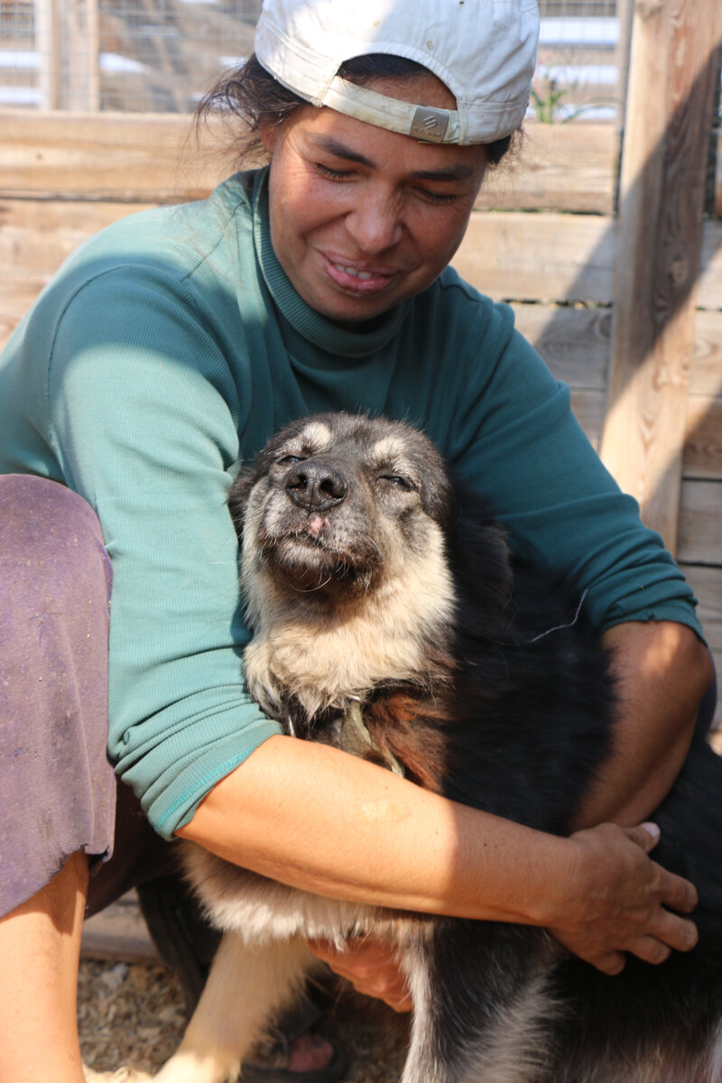 Я и Варя#дом #квартира #вдобрыеруки #отдамбесплатно #даром #отдамдаром #жилбылпес #собаки #спасенныеизкарлука #собакадругчеловека 