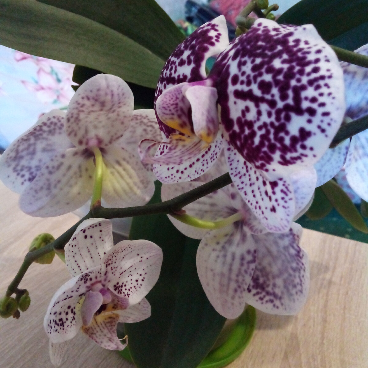 Фото из личного архива