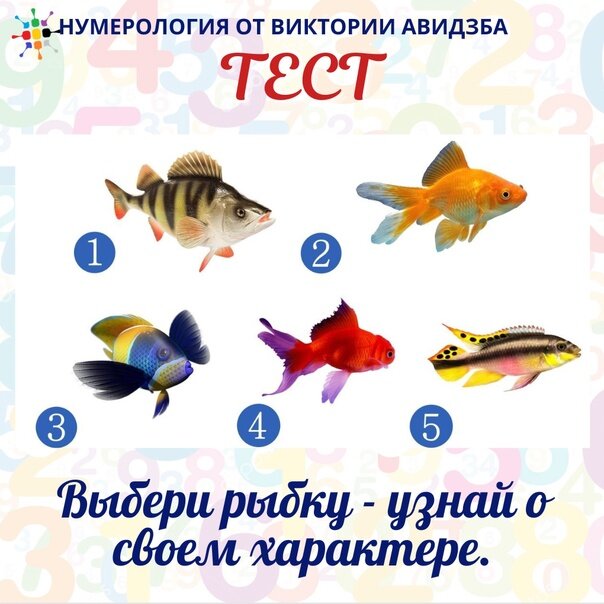 Тест по рыбам 8 класс