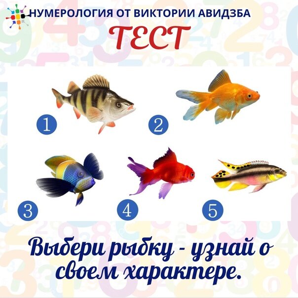 Тест на рыбу