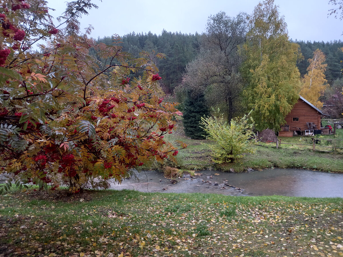 белокуриха ландшафт алтайский край. ландшафтотерапия. белокуриха в марте. заповедник в белокурихе. воздух белокурихи.