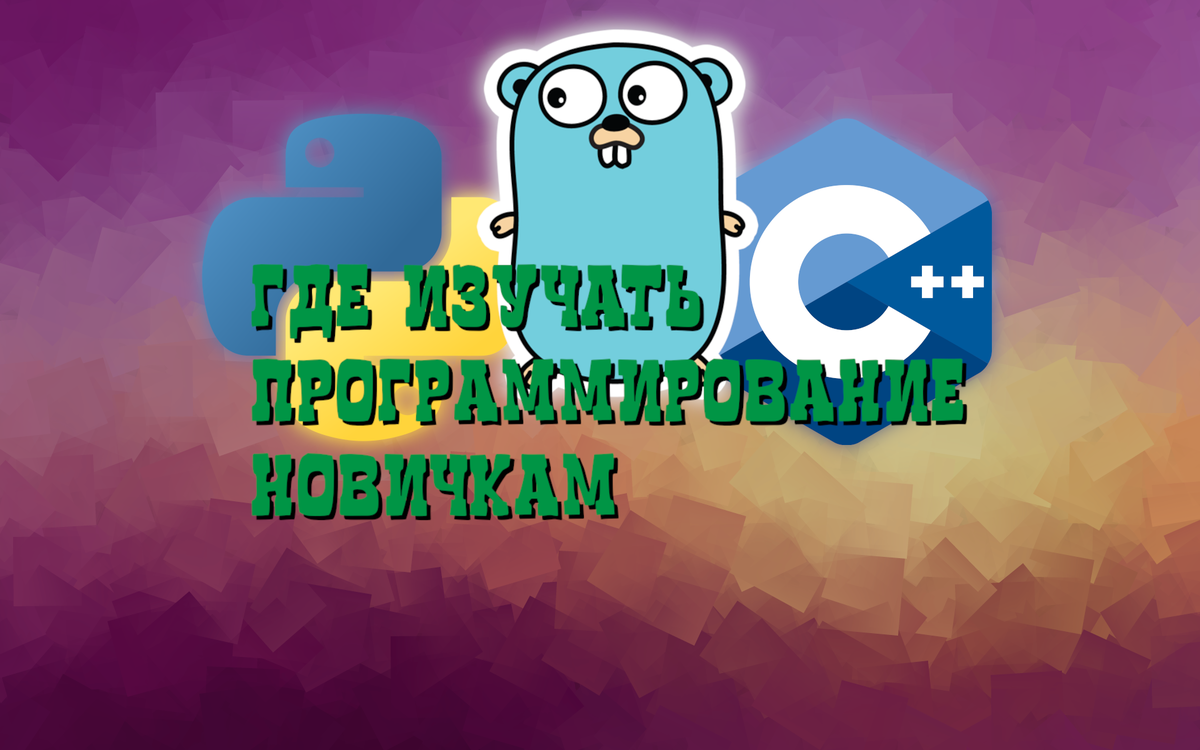 Где изучать программирование