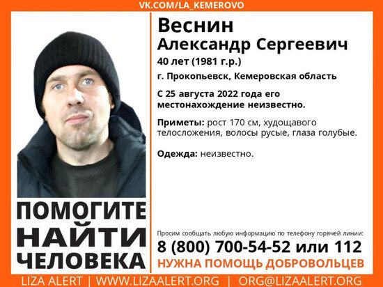     Фото: Лиза-Алерт